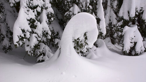 Snow wave