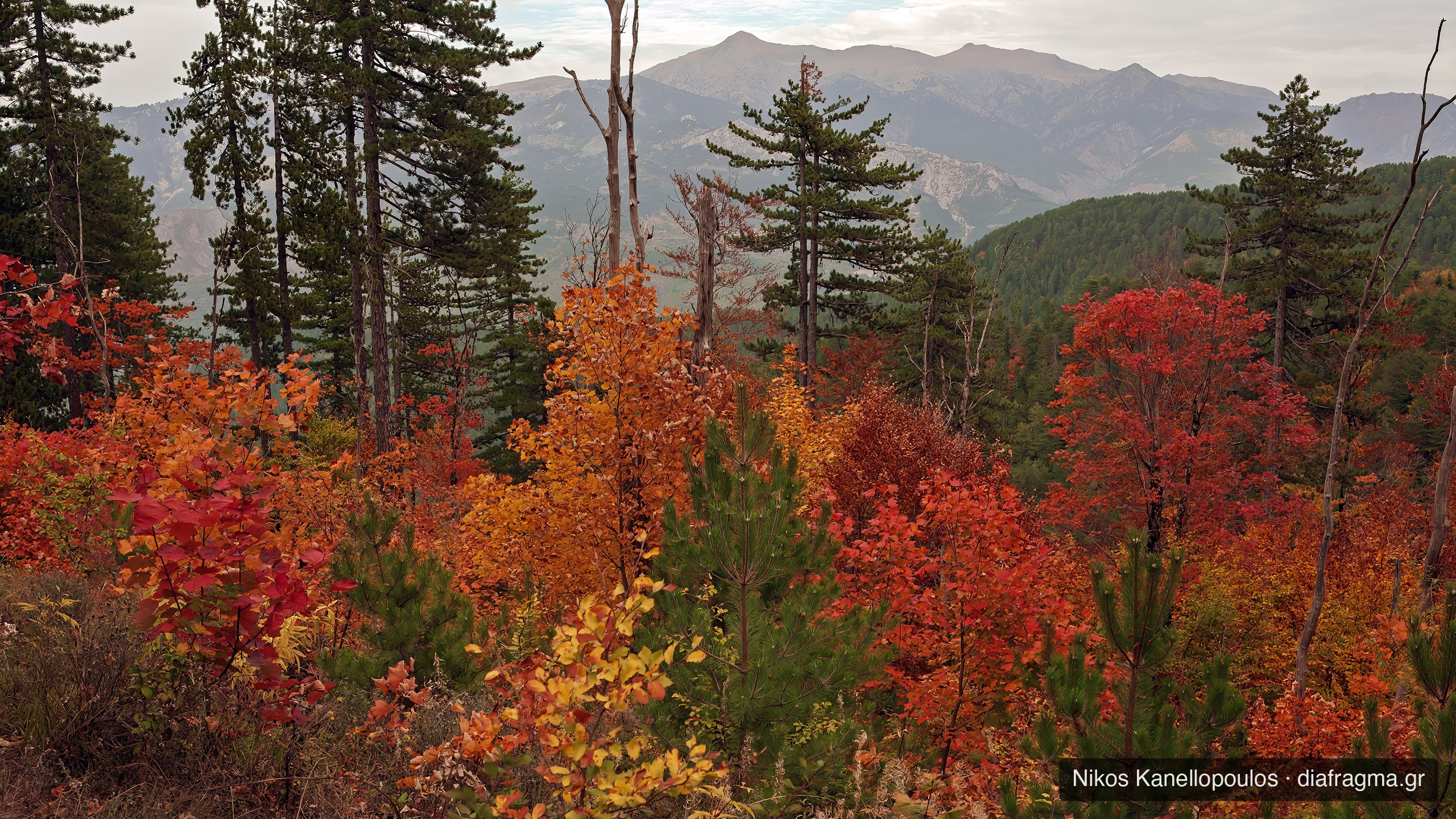Hiking in Pindos National Park